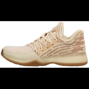 Adidas Harden 1 primeknit (USED)